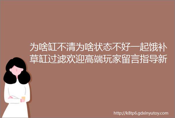 为啥缸不清为啥状态不好一起饿补草缸过滤欢迎高端玩家留言指导新人必看