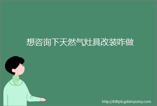 想咨询下天然气灶具改装咋做