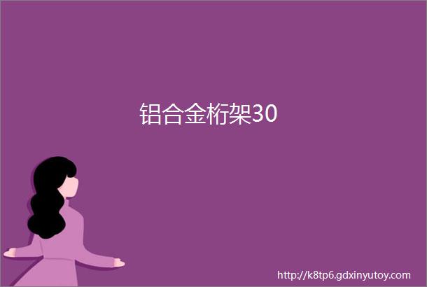 铝合金桁架30