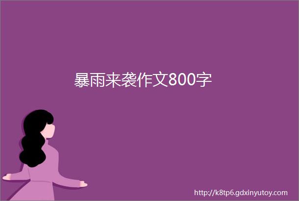 暴雨来袭作文800字