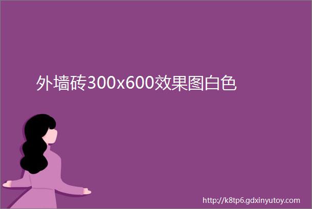 外墙砖300x600效果图白色