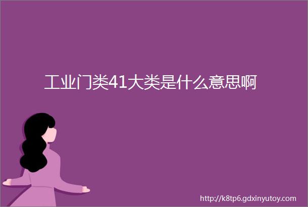 工业门类41大类是什么意思啊