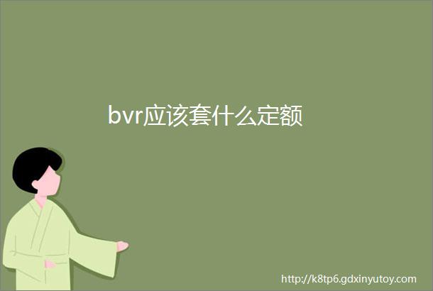 bvr应该套什么定额