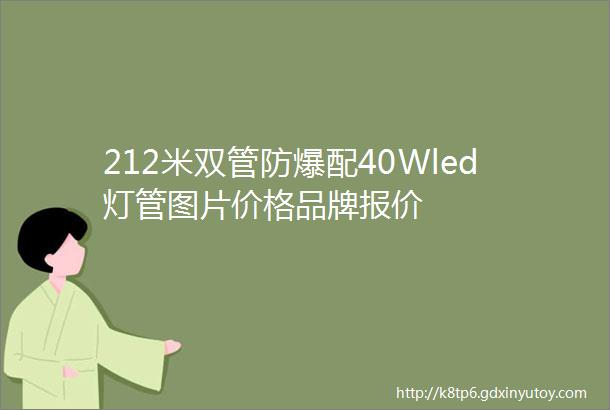 212米双管防爆配40Wled灯管图片价格品牌报价