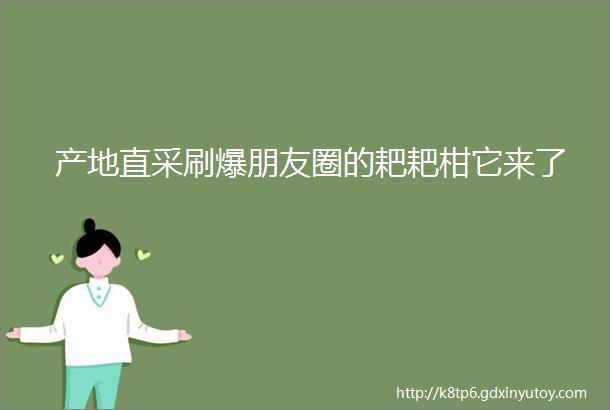 产地直采刷爆朋友圈的耙耙柑它来了