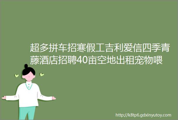 超多拼车招寒假工吉利爱信四季青藤酒店招聘40亩空地出租宠物喂养学历提升交友求职二手打听房源出租求租