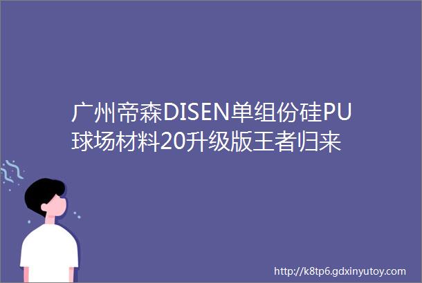 广州帝森DISEN单组份硅PU球场材料20升级版王者归来