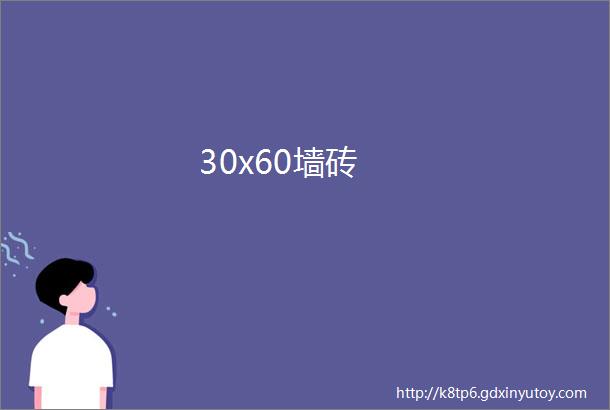 30x60墙砖