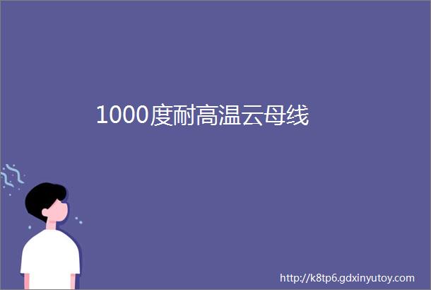 1000度耐高温云母线