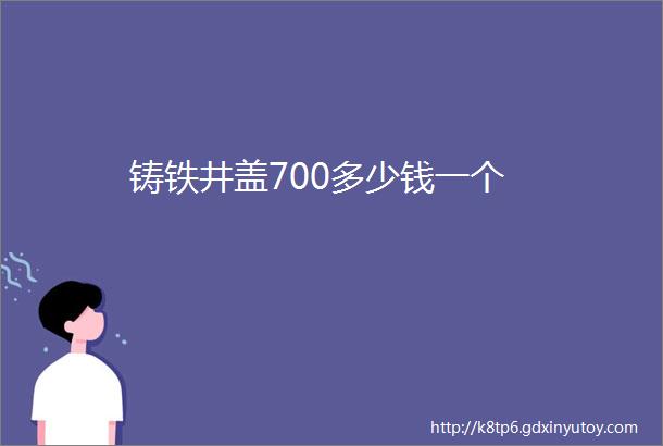 铸铁井盖700多少钱一个