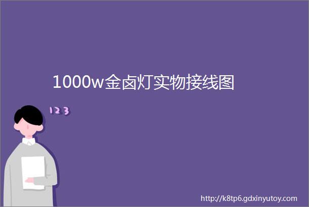 1000w金卤灯实物接线图