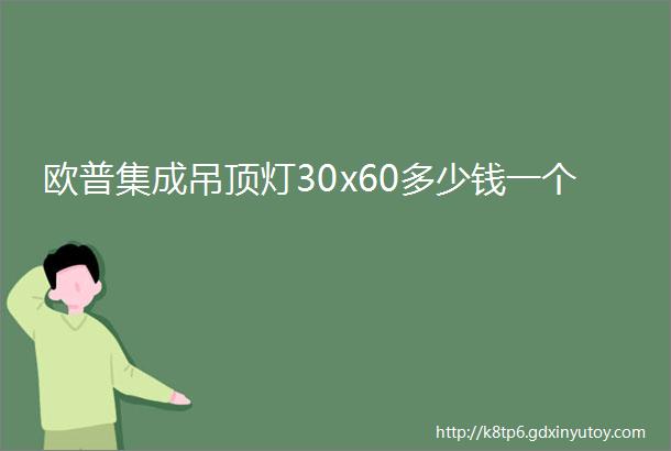 欧普集成吊顶灯30x60多少钱一个