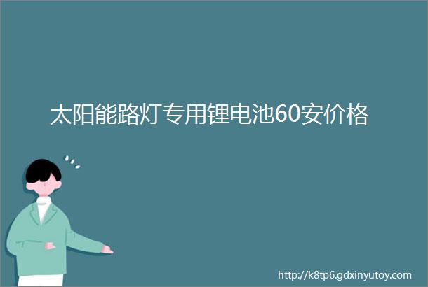 太阳能路灯专用锂电池60安价格