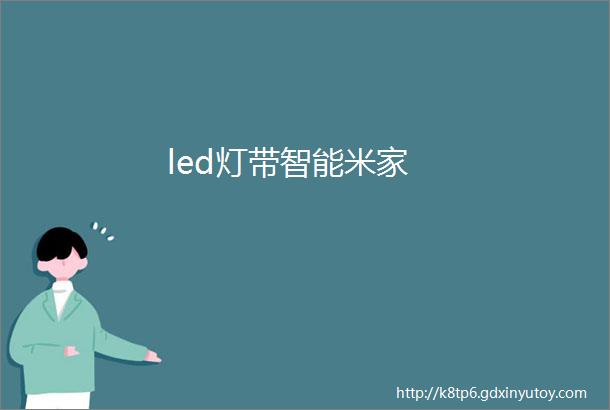 led灯带智能米家